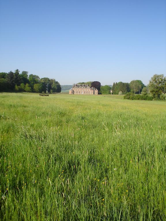 Chateau D'Auteuil - Chambres D'Hotes Berneuil-en-Bray Dış mekan fotoğraf