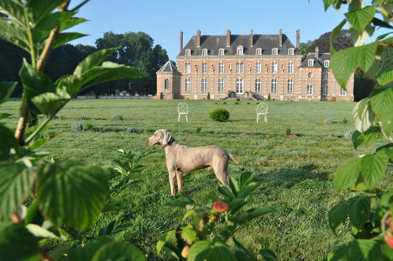 Chateau D'Auteuil - Chambres D'Hotes Berneuil-en-Bray Dış mekan fotoğraf